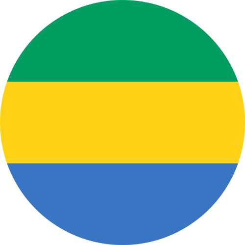 drstination asli gabon