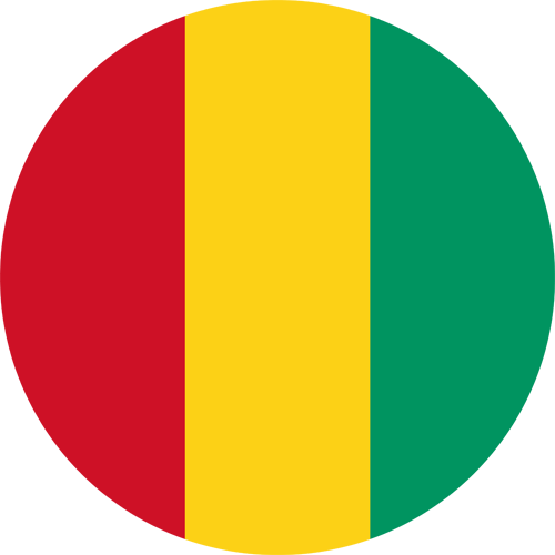 drstination asli guinea