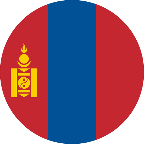 drstination asli mongolia