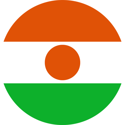 drstination asli niger