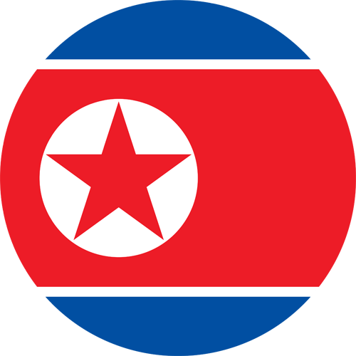 drstination asli north korea