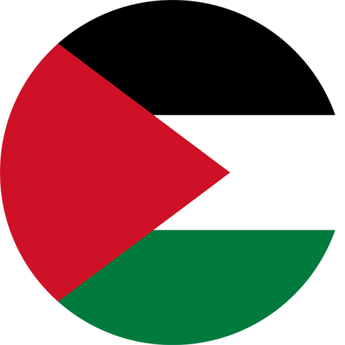 drstination asli palestini