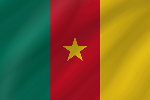 cameroonian flag wave