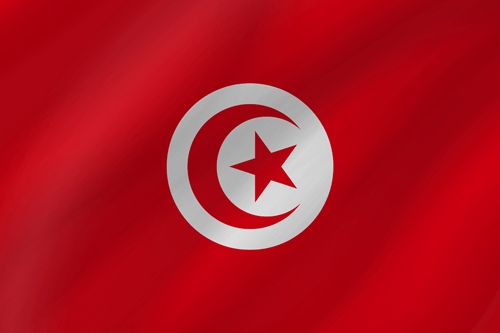tunisian flag wave