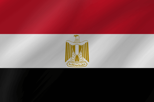 egyptian flag wave